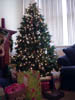 Family/12242005_003.jpg (80520 bytes)