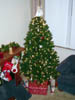 ../PG/Misc/12202005_003.jpg (69525 bytes)