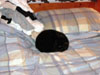 ../PG/Misc/MovingHelp.jpg (63566 bytes)