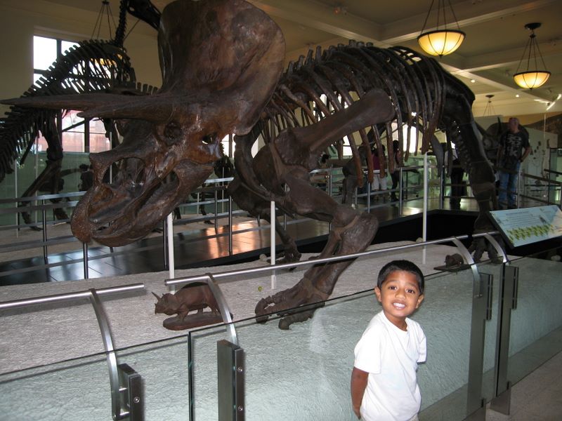 http://www.joelipe.com/Photos/2009%20September%20Photos/images/img_4739.jpg At the dinosaur exhibits