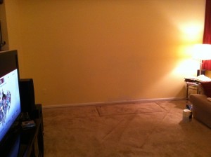 01232010 The fireplace is gone