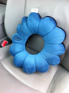 The Total Pillow