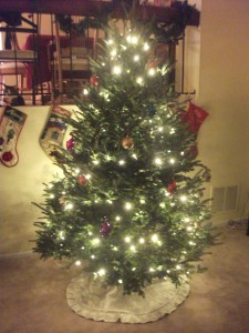 Our first Christmas tree