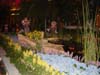 Trips/2003/Vegas2003_101.jpg (59497 bytes)