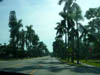 Trips/2004/Florida2004_025.jpg (56128 bytes)